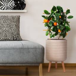 Beige Concrete Plant Pot On Wood Stand, Hand-Textured Rattan Pattern Tripod Planter, Mid Century Modern Indoor Planter Housewarming Gift - thumbnail 4
