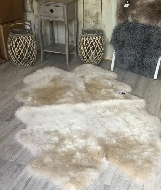 Large Oyster Sheepskin Rug, Cream Beige, Quad Size - image 1