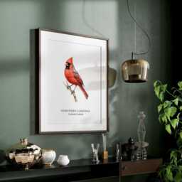 Northern Cardinal Bird, Bird Prints, Red Cardinal, Garden Birds, Lover Gift, Watching, Illustration, Wall Decor - thumbnail 3