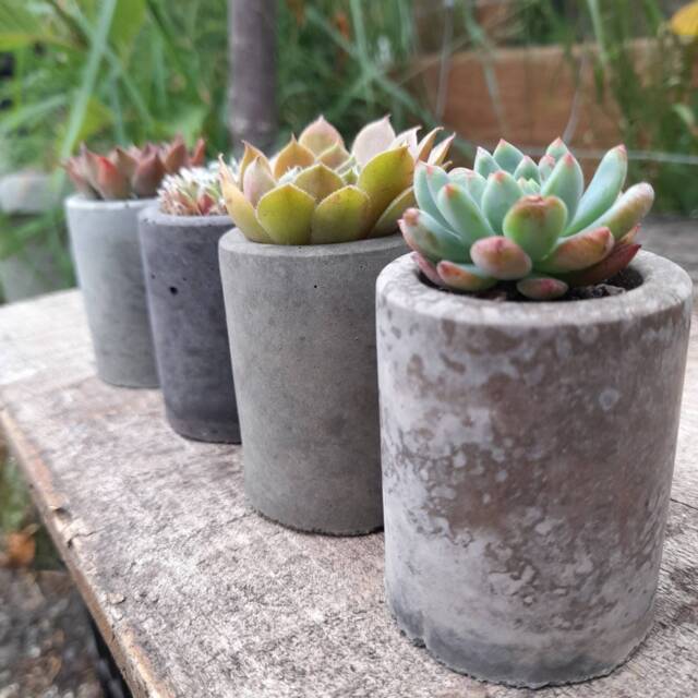 Concrete Mini Pots For Succulents - Set Of Three Small Planters - image 1