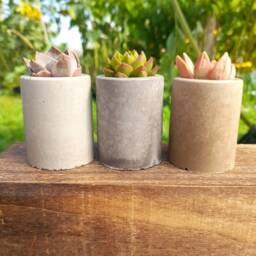 Concrete Mini Pots For Succulents - Set Of Three Small Planters - thumbnail 3