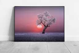 Vibrant Pink & Purple Sunset Landscape With Leafy Tree Silhouette - Framed Wall Art Print On Paper - thumbnail 1