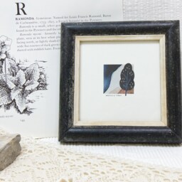 4x4 & 5x5 Inch Square Simple Cottage-style Rounded Bead Profile - Black With Pale Ochre Inner/Photo Frame Deluxe Quality Anniversary - thumbnail 3