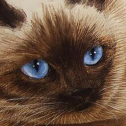 Irresistible Siamese Cat Painted On A Sea Stone - Rock Art By Roberto Rizzo Cats Painting Pebble in Acrylic - thumbnail 2