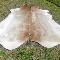 Beige Light Brown Large New Cowhide Rug Natural Hair On - 7x7 Ft Size Approx Tri-Color Brown Tones Soft Carpet Cow Hide 6x6 E-B - thumbnail 2