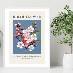 Birth Flower Print May Hawthorn - Birthday Month Poster Botanical Wall Art Gift Idea A5 A4 A3 Framed Or Unframed - thumbnail 3