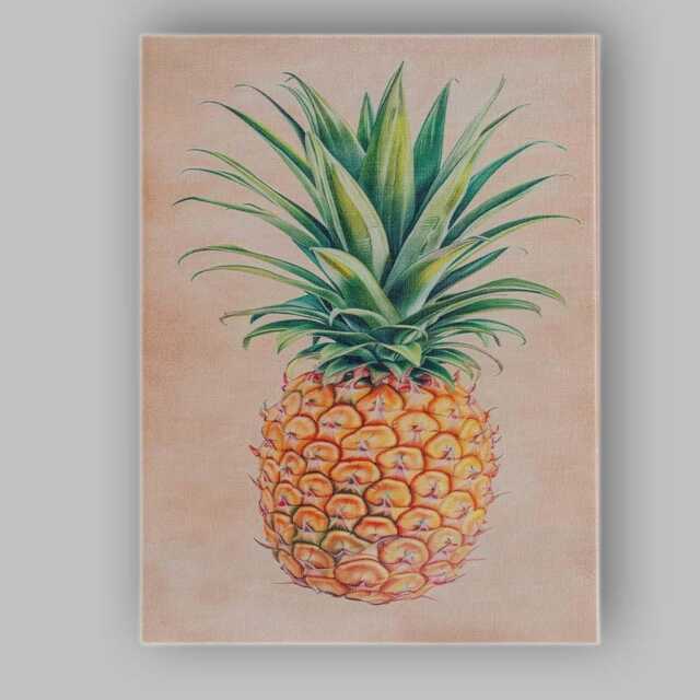 Minimalist Watercolour Pineapple Botanical Illustration Canvas Wall Art Print Decor Picture Ready To Hang - image 1