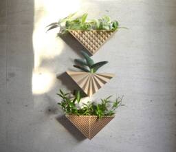 Modern Triangle Set Of 3 Wall Planter Natural Wood Finish