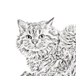 Selkirk Rex Longhaired - Wooden Stand For Candles/Pens With The Image Of A Cat New Collection - thumbnail 2