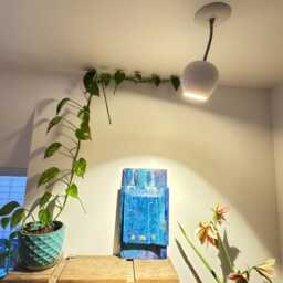 Claylight Spot - Modern Spotlight Ceramic Ceiling Lamp Designer Lighting - thumbnail 3