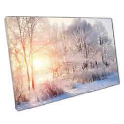 Serene Winter Forest Canvas Sunlit Frosty Trees Wall Art For Home & Office Decor - thumbnail 1
