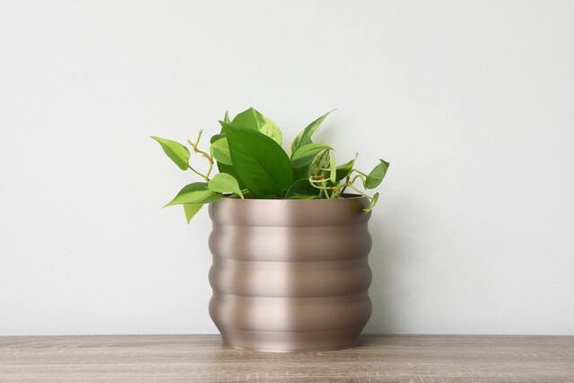 "Bubbly Planter With Drainage & Saucer in Champagne Bronze, Unique 3D-Printed Plant Pot, Small To Large Sizes 4"" 5"" 6"" 7"" 8" - image 1