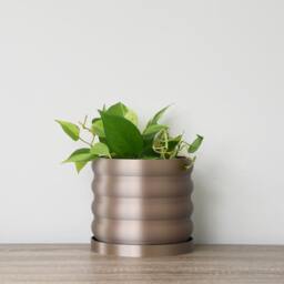 "Bubbly Planter With Drainage & Saucer in Champagne Bronze, Unique 3D-Printed Plant Pot, Small To Large Sizes 4"" 5"" 6"" 7"" 8" - thumbnail 2
