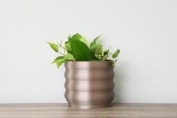 "Bubbly Planter With Drainage & Saucer in Champagne Bronze, Unique 3D-Printed Plant Pot, Small To Large Sizes 4"" 5"" 6"" 7"" 8" - thumbnail 1