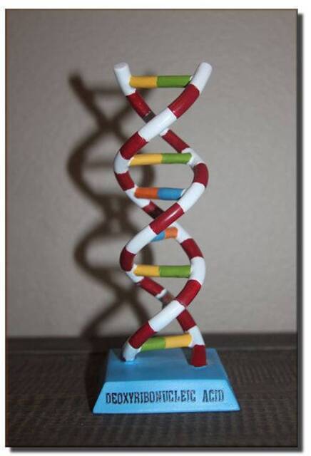 Dna Desk Statue - image 1