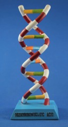 Dna Desk Statue - thumbnail 3