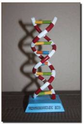 Dna Desk Statue - thumbnail 1