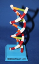 Dna Desk Statue - thumbnail 4