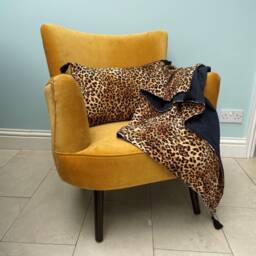 Velvet Furniture Armchair, Colourful Cocktail Chair, Reading Bar & Lounge Seats - thumbnail 1