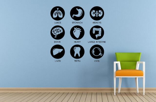 Human Anatomy Living Organs Health Life Window Or Wall Car Vinyl Peal & Stick Removable Sticker Decal L1478 - image 1