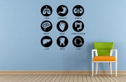 Human Anatomy Living Organs Health Life Window Or Wall Car Vinyl Peal & Stick Removable Sticker Decal L1478 - thumbnail 1