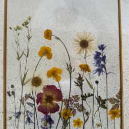 Dried Pressed Flower Meadow, Gold Glass Framed Wall Art - thumbnail 2