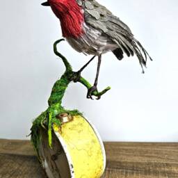 Faux Taxidermy Bird - thumbnail 2
