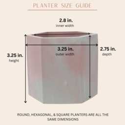 Gold Leaf Cement Planter, Modern Desk Organizer - thumbnail 4