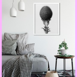 Plant Study #11 - Karl Blossfeldt Botanical Nature 1928 Vintage Printable Decor Wall Art Digital Download - thumbnail 2