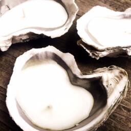 Oyster Shell Candles - Set Of 3 Vanilla Cardamon - thumbnail 2