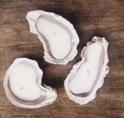 Oyster Shell Candles - Set Of 3 Vanilla Cardamon - thumbnail 1