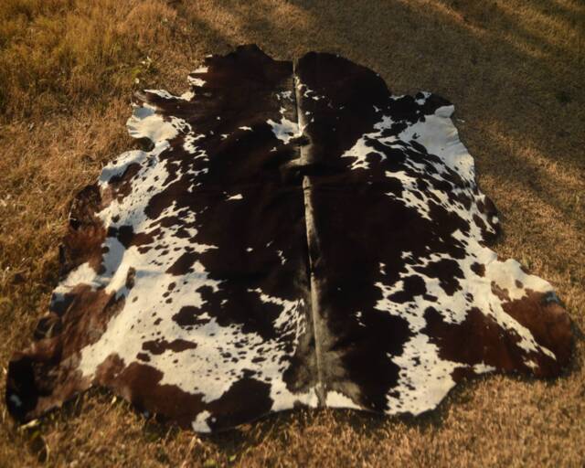 Brown & White Cowhide Rug , - Panda Natural Cowskin Rugs Best Cowhide - image 1