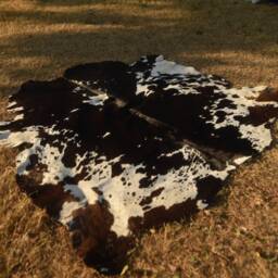 Brown & White Cowhide Rug , - Panda Natural Cowskin Rugs Best Cowhide - thumbnail 2