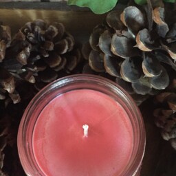 Cranberry Chutney, Hand Poured, Made, All Natural, 100% Soy Candle in Mason Canning Jar With Black Rustic Lid - thumbnail 3