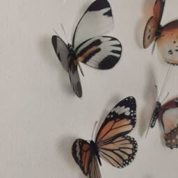 3D Butterfly Wall Decor Handmade Flying Removable Butterflies, Set Of 10 - thumbnail 3