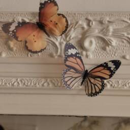 3D Butterfly Wall Decor Handmade Flying Removable Butterflies, Set Of 10 - thumbnail 2