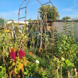 Rustic Steel Rose Arch Heavy Duty Garden Plant Support - thumbnail 4