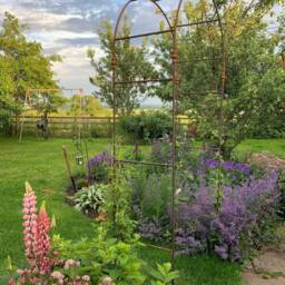 Rustic Steel Rose Arch Heavy Duty Garden Plant Support - thumbnail 2
