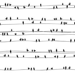Birds On Electrical Wires Seamless Modern Patterned Illustration Custom Made Printed Window - Bw43 Roller Blind Regular Or Blackout Shade - thumbnail 2