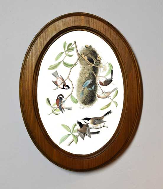 Light Oak Oval Wooden Framed Picture, John James Audubon, Chesnut-Backed Titmouse, Bird Nature Art Print, Wall Hanging Vintage Style - image 1