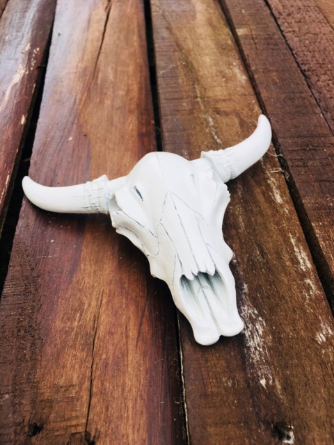 Small White Cow Skull Wall Decor - Cake Topper Gallery Art Faux Taxidermy - image 1