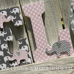 Elephant Nursery Letters Theme Name Sign Baby Boy Gift Shower Pink Decor - thumbnail 2
