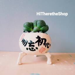 The Never Forget The Original Heart Pot ???????????? - Ceramic, Handmade, Plant Pot, Succulent Cactus Home Decor, Studio Pottery - thumbnail 2