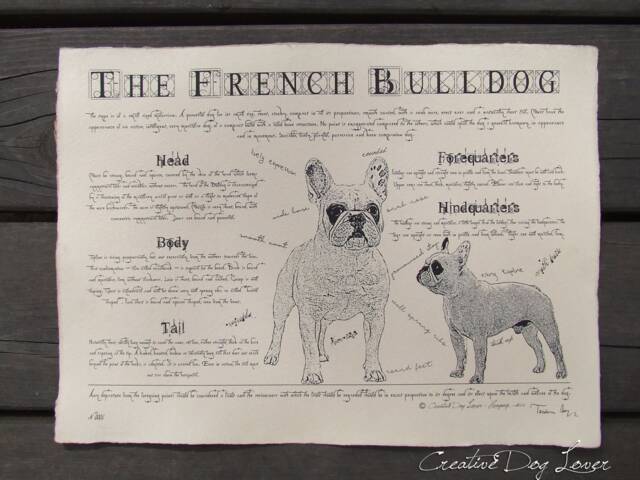 Vintage French Bulldog Anatomy Art Print Antique Style Dog Poster - image 1