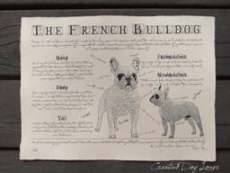 Vintage French Bulldog Anatomy Art Print Antique Style Dog Poster - thumbnail 1