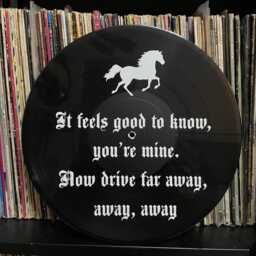 Deftones , Be Quiet & Drive Record Wall Art, Gothic, Music Lover, Gift, Vinyl, Tattoo Style, Retro Decor, Lyrics - thumbnail 3