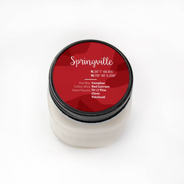 Springville -- Scented Soy Candle California Spruce Cranberries Peppermint Handmade Handpoured Mason Jar - image 1