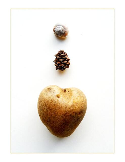 Kitchen Decor Fine Art Photography Heart Like A Potato