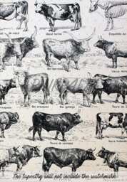 Cows Ilustration- Wall Tapestry - Tapestry Hangings Wanderlust Bohemian Home Decor Dorm T#93 - thumbnail 3