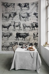 Cows Ilustration- Wall Tapestry - Tapestry Hangings Wanderlust Bohemian Home Decor Dorm T#93 - thumbnail 1